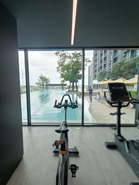 fitness วิวสระ