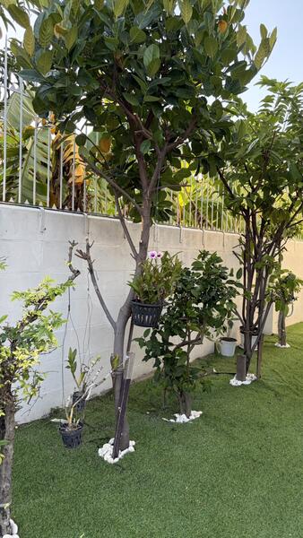 For Sale - Prapin 2, Bangkok