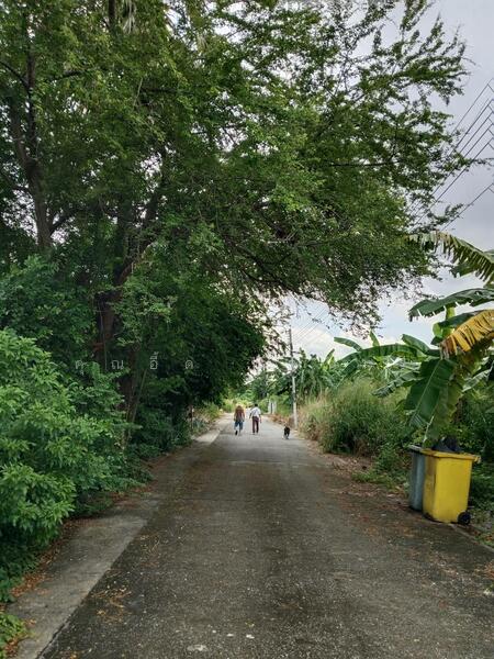 ขาย - บางตลาด, นนทบุรี