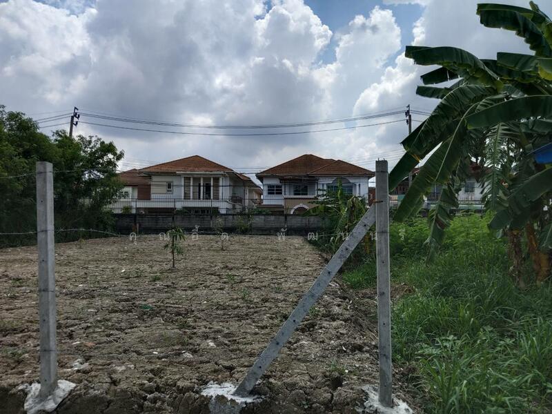 ขาย - บางตลาด, นนทบุรี