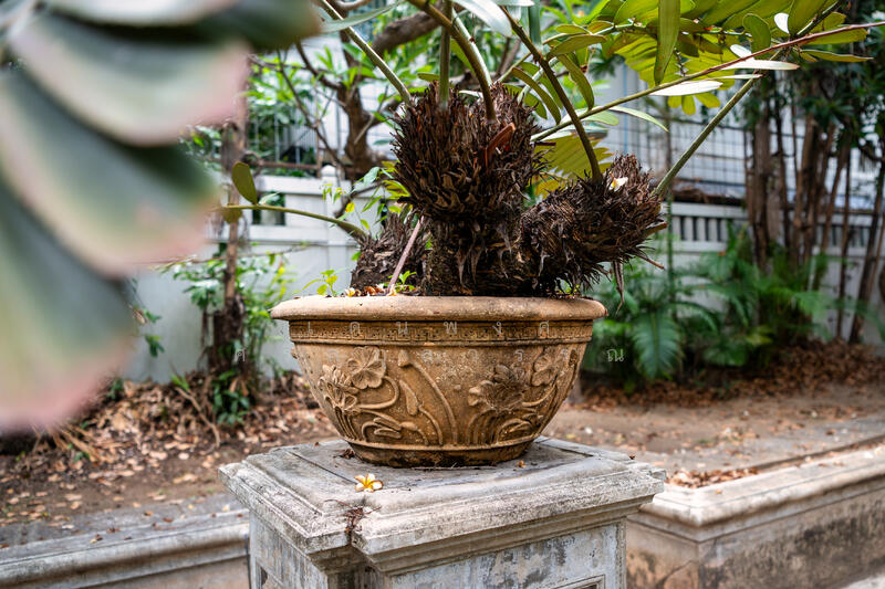 ขาย - ที่ดิน 246 ตร.วา พร้อมบ้านสไตล์โคโลเนียล ใจกลางบางนา ใกล้Mall, กรุงเทพ