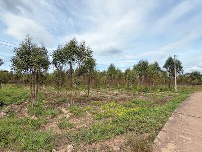 ขาย - ที่ดินกบินทร์บุรี ปราจีนบุรี, ปราจีนบุรี