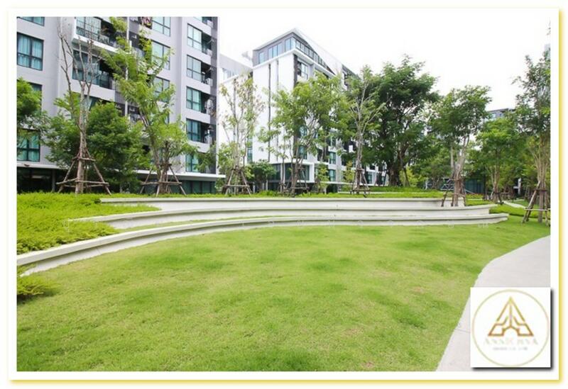 For Rent - KAVE Town Space, Pathum Thani