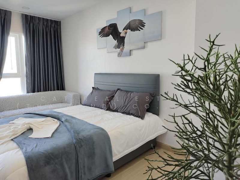 Supalai Veranda Ramkhamhaeng, Bangkok, Ramkhamhaeng Road, Hua Mak, Bang Kapi, Bangkok, 1 Bedroom, 28 sqm, Condo For Rent, by Cat Real Estate (Thailand) Co., Ltd., 500010743 - DDproperty.com