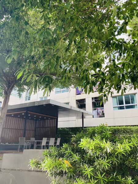 ให้เช่า - Lumpini Ville Sukhumvit 109-Bearing : ลุมพินี วิลล์ สุขุมวิท 109-แบริ่ง, สมุทรปราการ