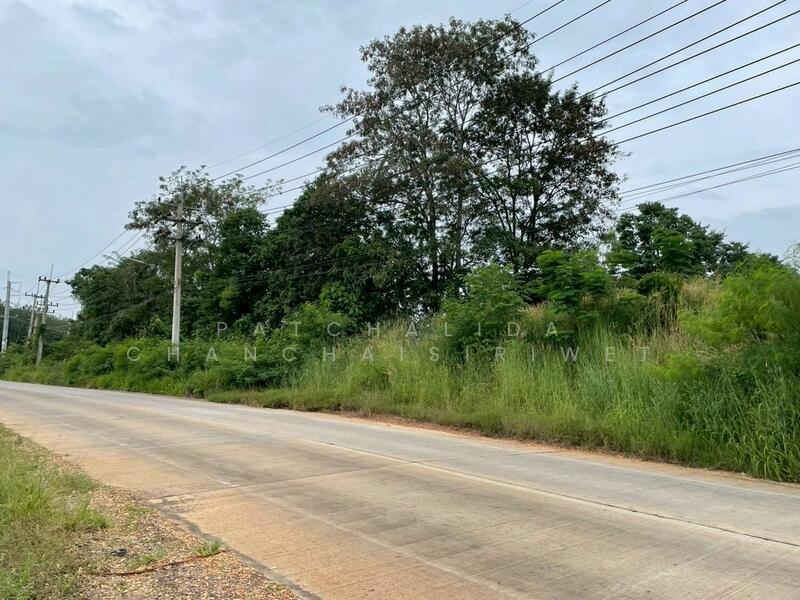 For Sale - Land for Sale in EEC Zone – Ban Bueng, Chonburi, Chon Buri