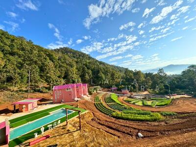 ขาย - ต.สะเมิงใต้ อ.สะเมิง จ.เชียงใหม่ : Samoeng Tai Subdistrict, Samoeng District, Chiang Mai Province, เชียงใหม่