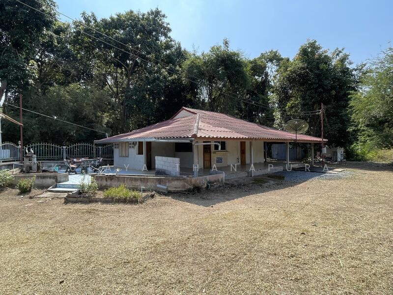 ให้เช่า - ต.สามพร้าว อ.เมือง จ.อุดรธานี : Sam Phrao Subdistrict, Mueang District, Udonthani Province, อุดรธานี