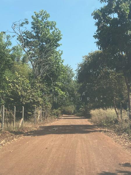 ให้เช่า - ต.สามพร้าว อ.เมือง จ.อุดรธานี : Sam Phrao Subdistrict, Mueang District, Udonthani Province, อุดรธานี