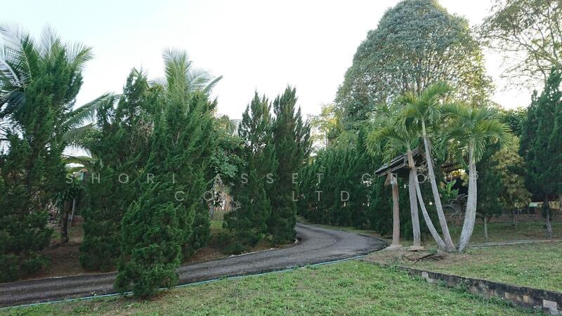 ขาย - บ้านสไตล์รีสอร์ท แม่ริม, เชียงใหม่