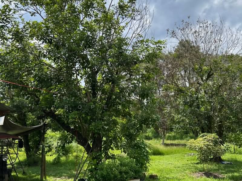 ที่ดินขลุง จันทบุรี, Chanthaburi, Wang Sappharot, Khlung, Chanthaburi, , 47,916 sqm, Land For Sale, by The Best Property ซิน, 500011375 - DDproperty.com