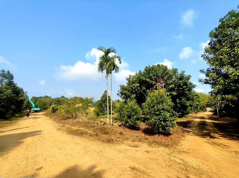 ที่ดินขลุง จันทบุรี, จันทบุรี, วังสรรพรส, ขลุง, จันทบุรี, 47,916 ตร.ม., ที่ดิน ขาย, โดย The Best Property ซิน, 500011375 - DDproperty.com