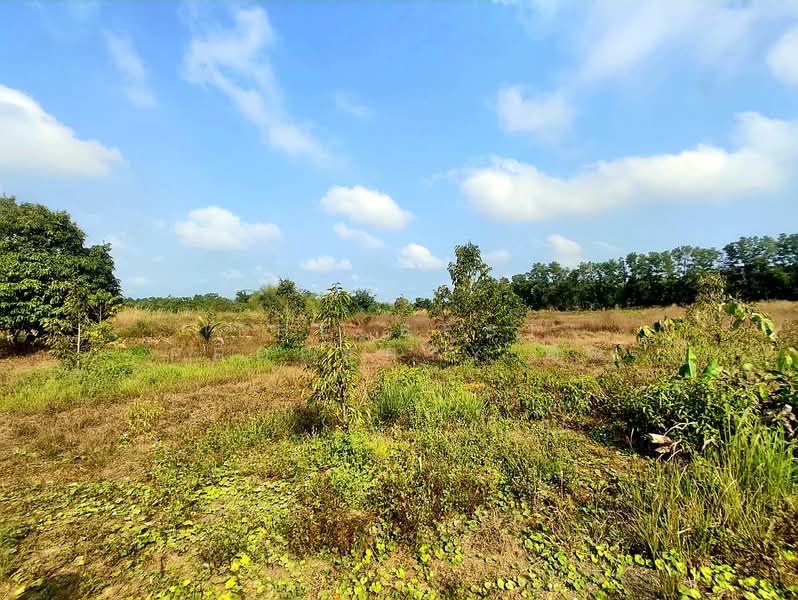 ที่ดินขลุง จันทบุรี, จันทบุรี, วังสรรพรส, ขลุง, จันทบุรี, 47,916 ตร.ม., ที่ดิน ขาย, โดย The Best Property ซิน, 500011375 - DDproperty.com