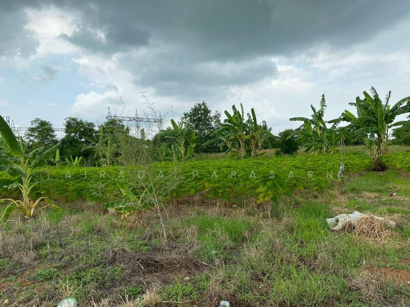 ขาย - บ้านสร้าง, ปราจีนบุรี