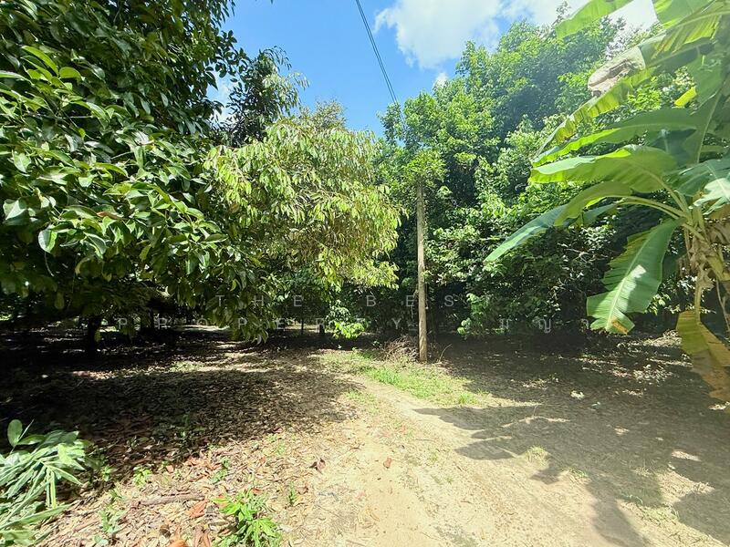 For Sale - ที่ดินคลองนารายณ์ จันทบุรี, Chanthaburi