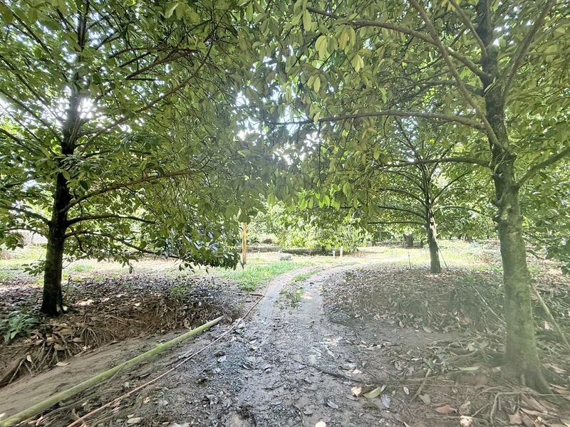 For Sale - ที่ดินคลองนารายณ์ จันทบุรี, Chanthaburi