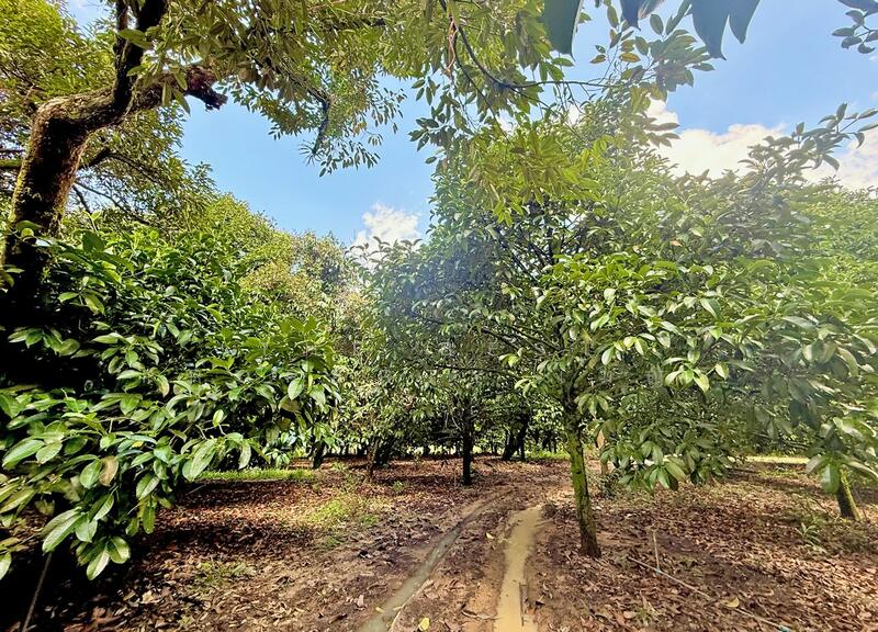 For Sale - ที่ดินคลองนารายณ์ จันทบุรี, Chanthaburi