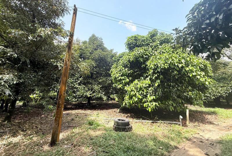 ขาย - ที่ดินคลองนารายณ์ จันทบุรี, จันทบุรี