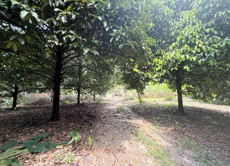 ขาย - ที่ดินคลองนารายณ์ จันทบุรี, จันทบุรี