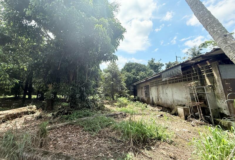 For Sale - ที่ดินคลองนารายณ์ จันทบุรี, Chanthaburi