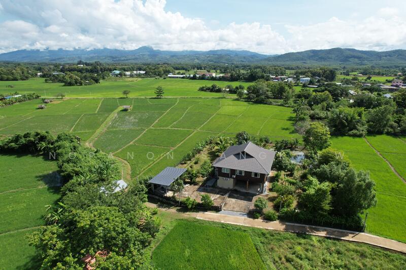 ขาย - สันติสุข, น่าน