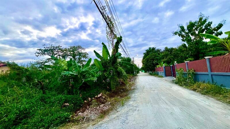 ขาย - บ้านเดี่ยว 1 ชั้น 130 ตร.ว. บ้านเดี่ยว ซอยเพชรเกษม68 แยก42 ถนนเพชรเกษม, กรุงเทพ