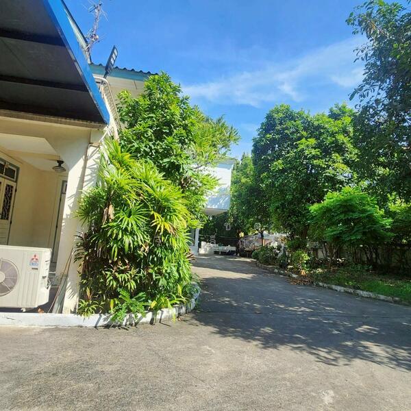 ให้เช่า - สุขุมวิท 49, กรุงเทพ