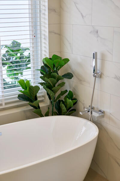 ให้เช่า - World Club Land : บ้านเวิลด์คลับแลนด์, เชียงใหม่