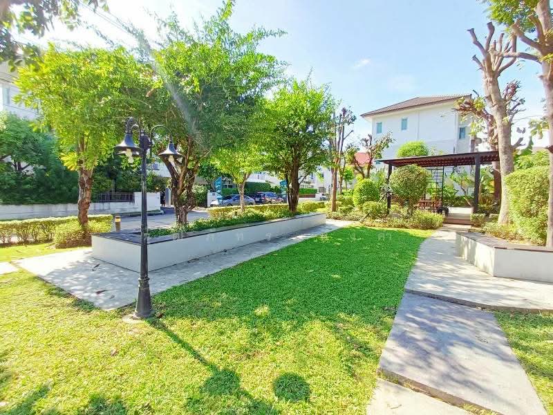 ต.วัดเกต, Chiang Mai, Wat Khet, Muang Chiang Mai, Chiang Mai, 5 Bedrooms, 200 sqm, Single Detached House For Rent, by วุฒิภัทร มิ่งคำ, 500012400 - DDproperty.com