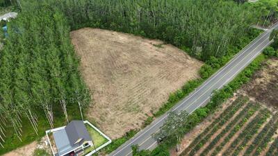 ขาย - ที่ดินหนองเสม็ด ตราด, ตราด