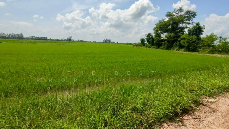 ขาย - ที่ดินพรานกระต่าย กำแพงเพชร, กำแพงเพชร