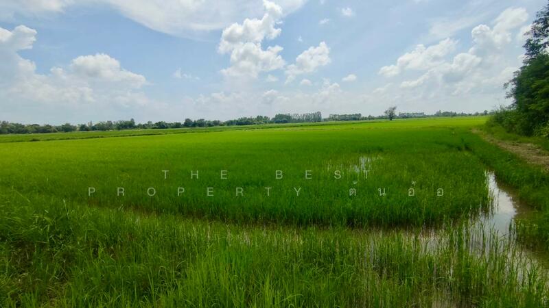 ขาย - ที่ดินพรานกระต่าย กำแพงเพชร, กำแพงเพชร