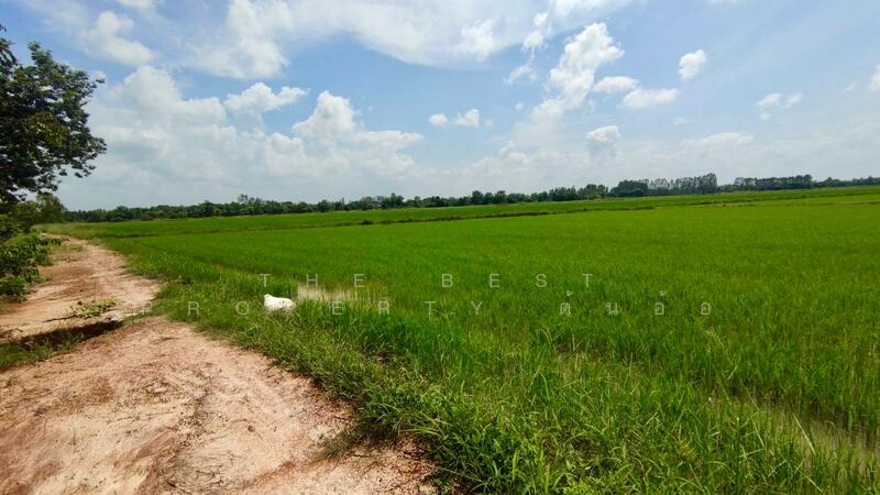 ขาย - ที่ดินพรานกระต่าย กำแพงเพชร, กำแพงเพชร