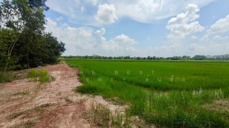 ขาย - ที่ดินพรานกระต่าย กำแพงเพชร, กำแพงเพชร