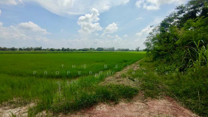 ขาย - ที่ดินพรานกระต่าย กำแพงเพชร, กำแพงเพชร