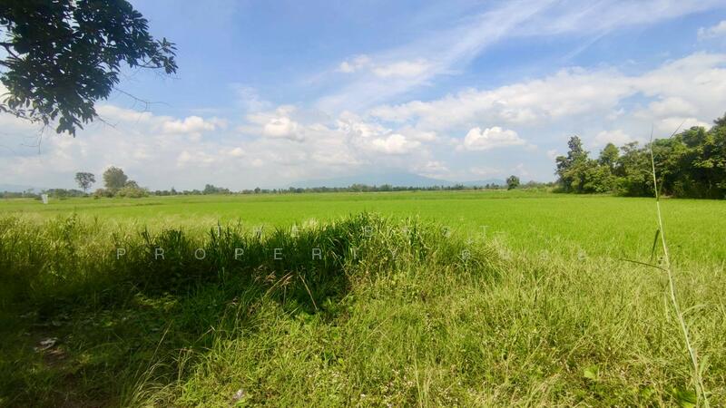 ขาย - ที่ดินพรานกระต่าย กำแพงเพชร, กำแพงเพชร