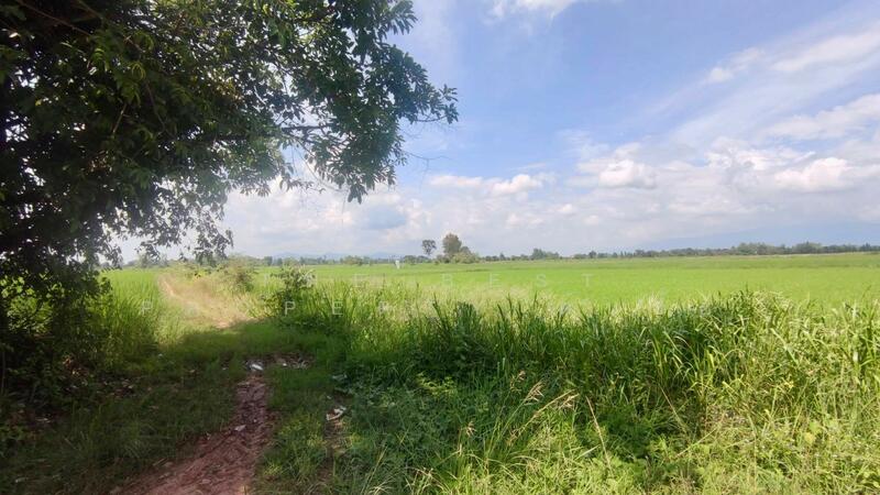 ขาย - ที่ดินพรานกระต่าย กำแพงเพชร, กำแพงเพชร