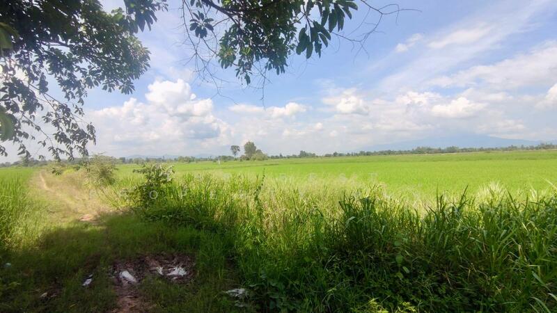 ขาย - ที่ดินพรานกระต่าย กำแพงเพชร, กำแพงเพชร