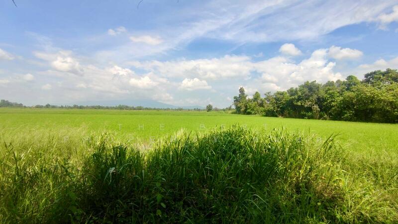 ขาย - ที่ดินพรานกระต่าย กำแพงเพชร, กำแพงเพชร