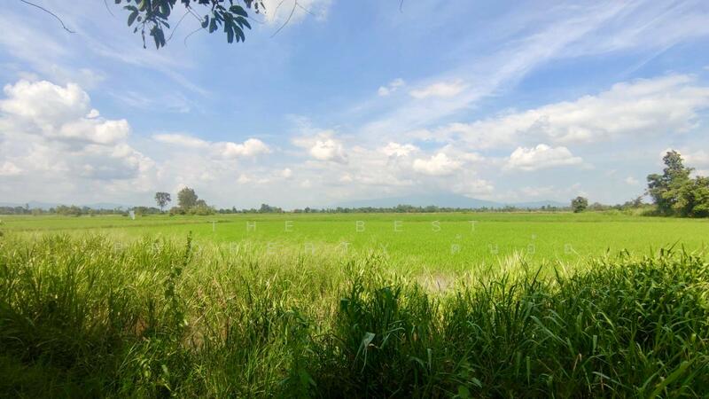 ขาย - ที่ดินพรานกระต่าย กำแพงเพชร, กำแพงเพชร