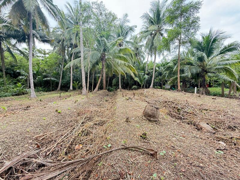 ขาย - ที่ดินอัมพวา สมุทรสงคราม, สมุทรสงคราม