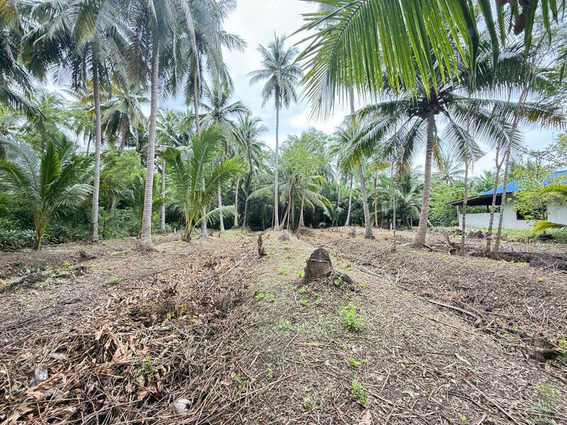 ขาย - ที่ดินอัมพวา สมุทรสงคราม, สมุทรสงคราม