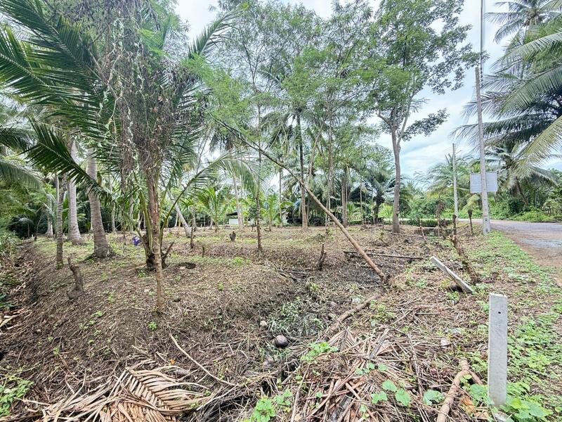 ขาย - ที่ดินอัมพวา สมุทรสงคราม, สมุทรสงคราม