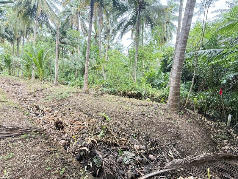 ขาย - ที่ดินอัมพวา สมุทรสงคราม, สมุทรสงคราม