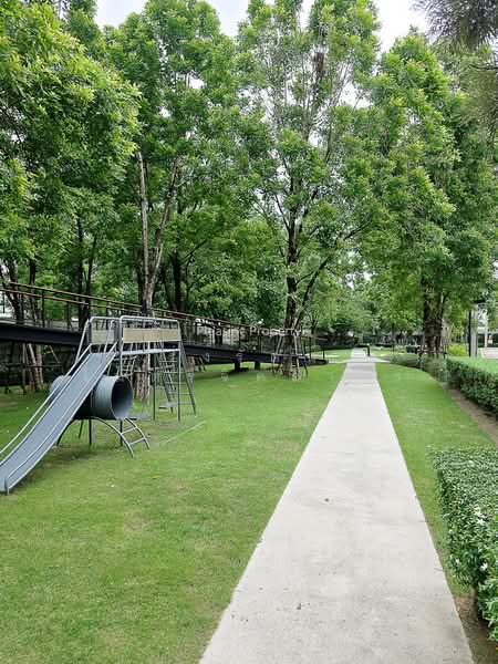 The City Pattanakarn, Bangkok, On Nut Road, Prawet, Bangkok, 4 Bedrooms, 340 sqm, Single Detached House For Sale, by Roongrat Maitreejittawon, 500012556 - DDproperty.com