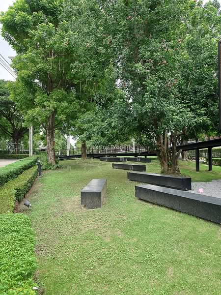 The City Pattanakarn, Bangkok, On Nut Road, Prawet, Bangkok, 4 Bedrooms, 340 sqm, Single Detached House For Sale, by Roongrat Maitreejittawon, 500012556 - DDproperty.com