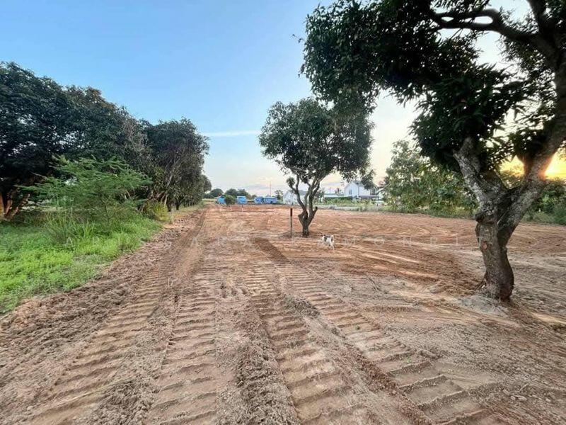 ขาย - มั่งมี โบท บางเสร่, ชลบุรี