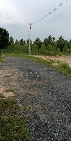 ขาย - นาวัง 12 ตะเคียนเตี้ย, ชลบุรี