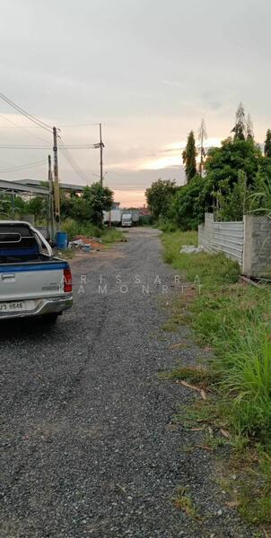 ขาย - นาวัง 12 ตะเคียนเตี้ย, ชลบุรี