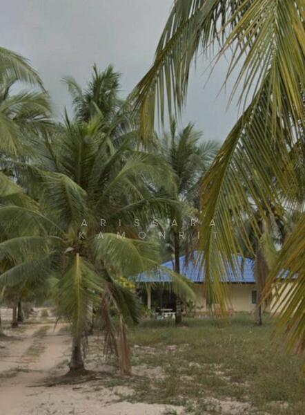 ขาย - หนองพลับ สังกะเปียว ซอย 6, ชลบุรี